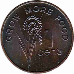 Fidschi 1 Cent 1977 "FAO"