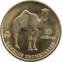 Biafra 10 Shillings 2021 "CAMELUS DROMEDARIUS"